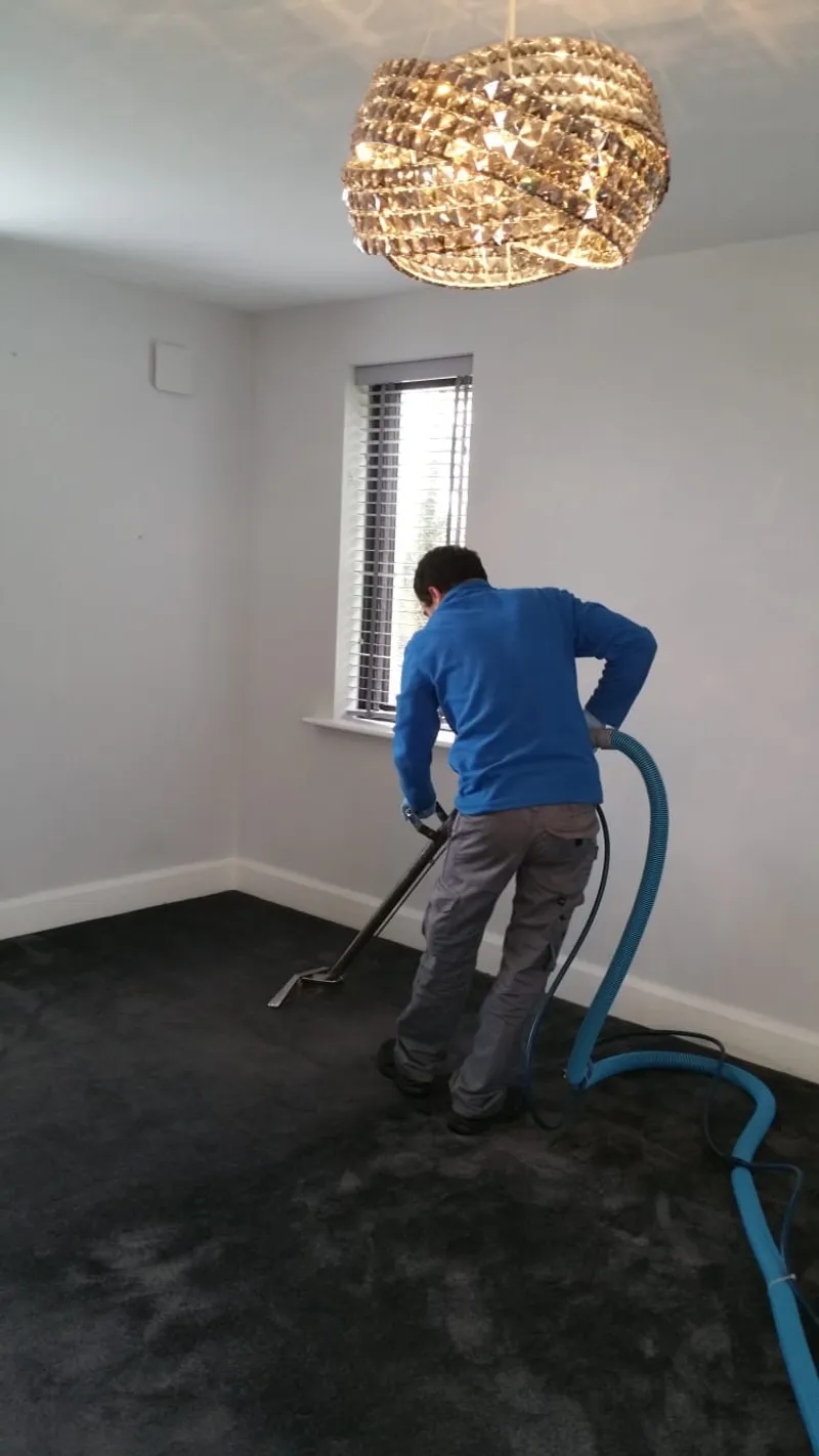 Professional carpet cleaning in progress, hot water extraction on a bedroom carpet