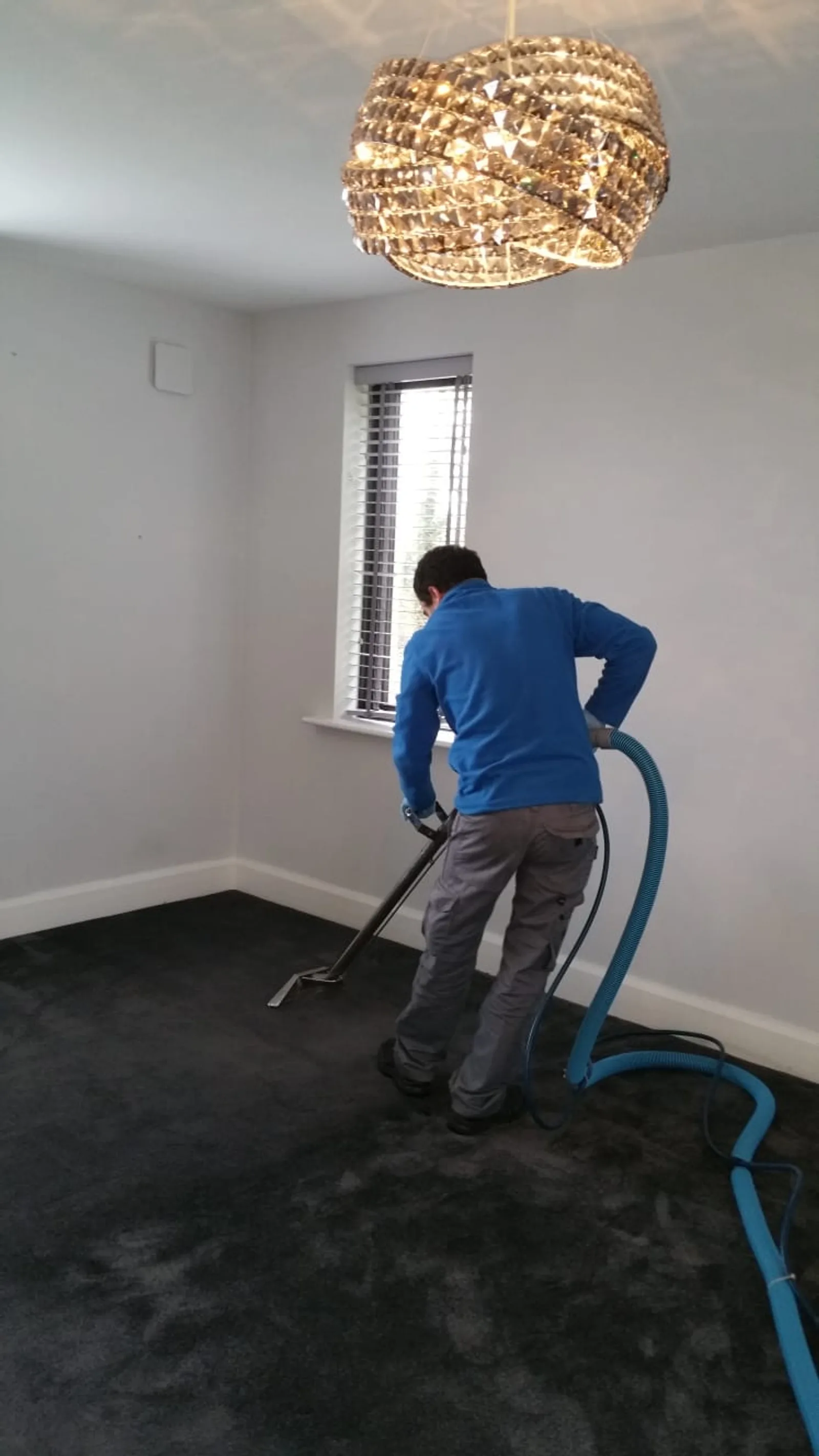 Professional carpet cleaning in progress, hot water extraction on a bedroom carpet