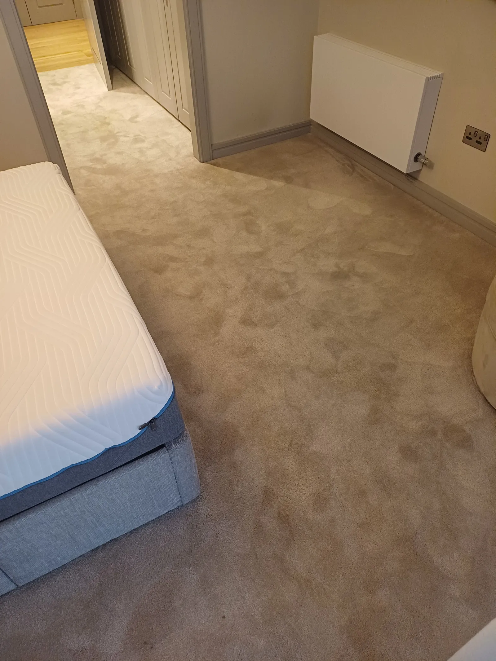 Corner of a carpeted bedroom near furniture, the kind of spot where metal furniture legs commonly leave rust rings