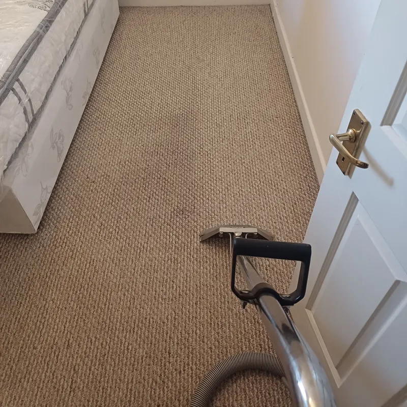 A cleaning wand and hose on a beige bedroom carpet