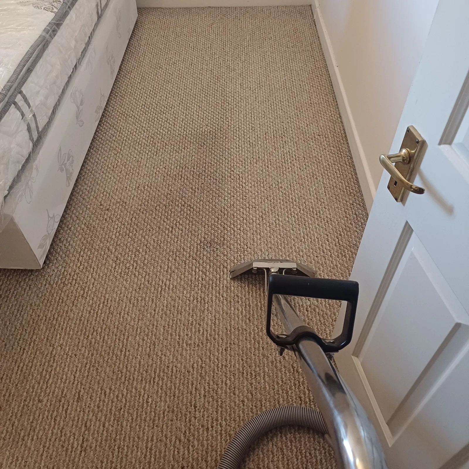 A plain beige bedroom carpet being cleaned with an extraction wand and hose, with a bed and open door visible