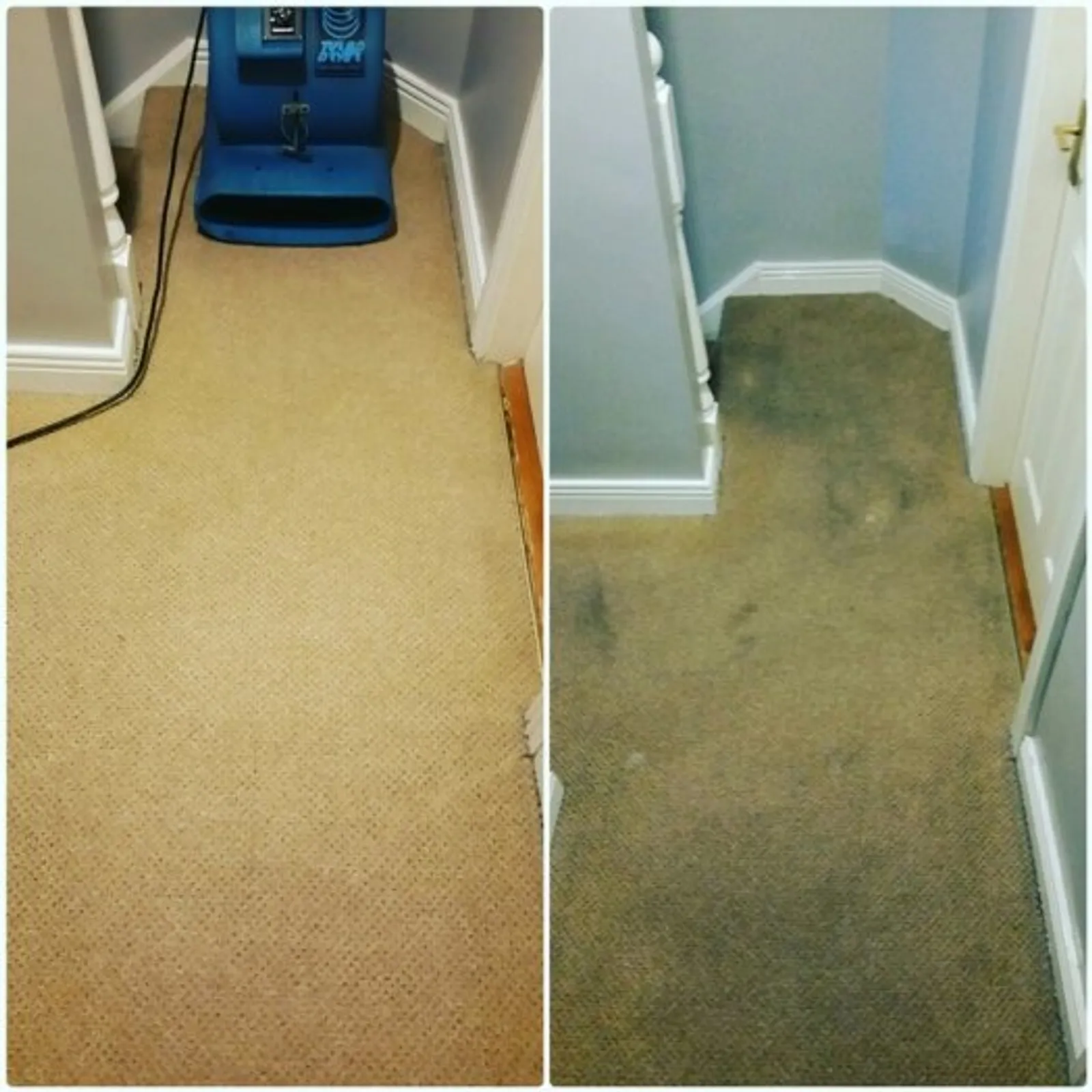 Real carpet stain and odour removal before and after result
