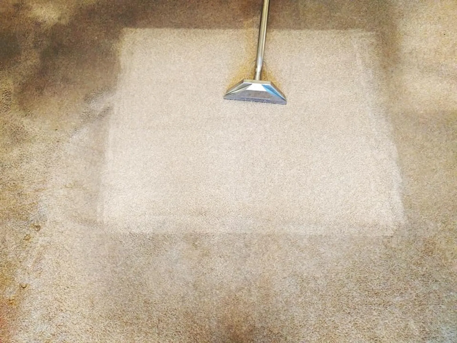 A cleaned patch of carpet showing a sharp contrast against the surrounding soiled area after spot treatment