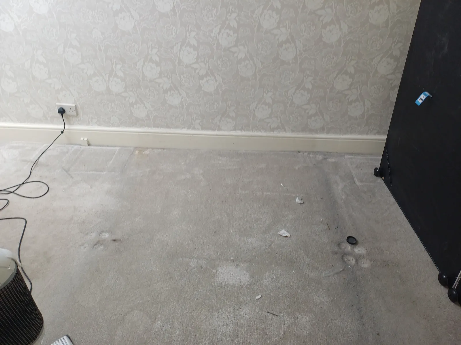 Carpet mid-clean showing extraction pass marks