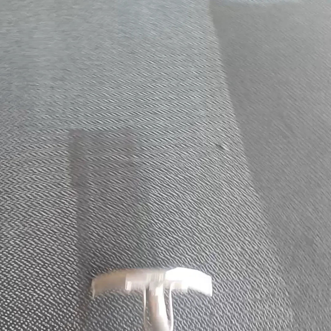A cleaning wand leaving a clean stripe across a grey carpet
