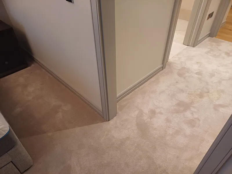 A light carpet on a landing outside bedroom doors