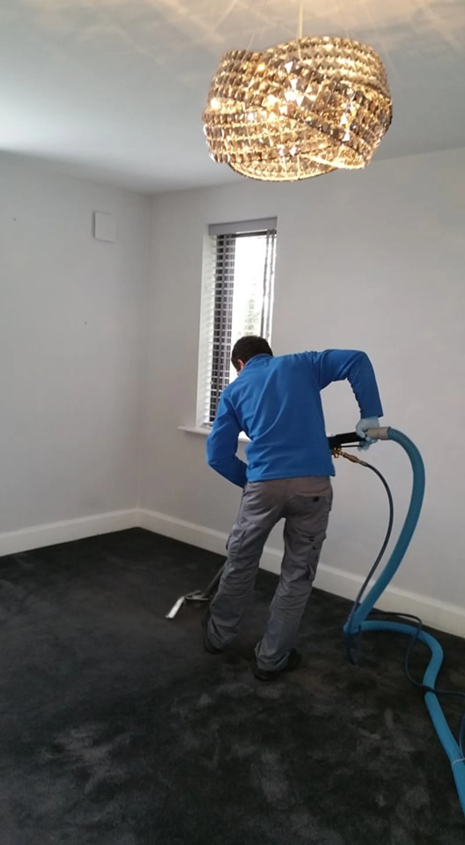Real carpet cleaning ahead of a tenancy handover