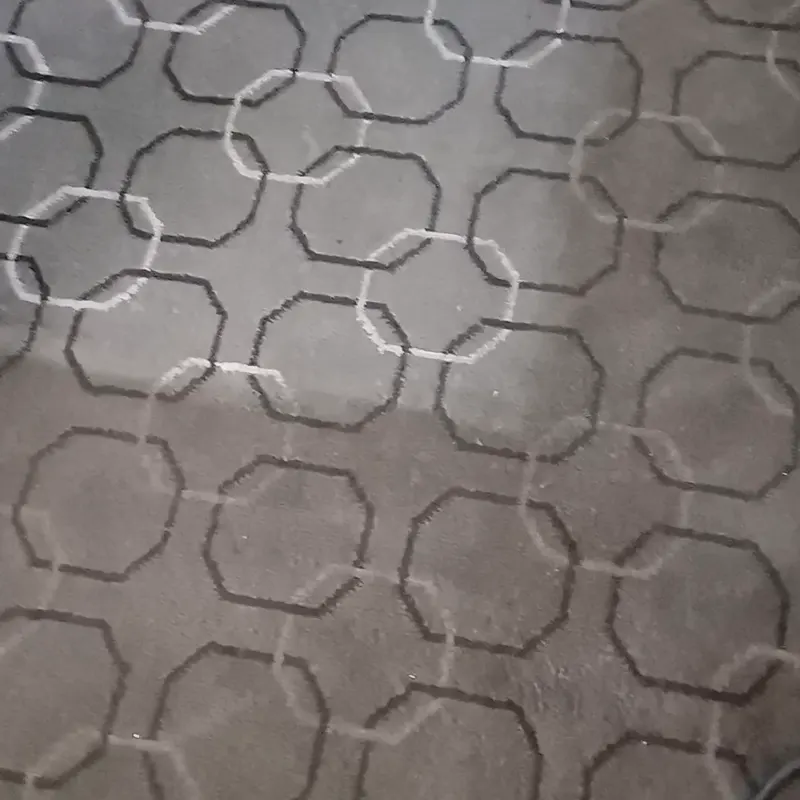 A clean lane through a grey patterned carpet where the wand has passed