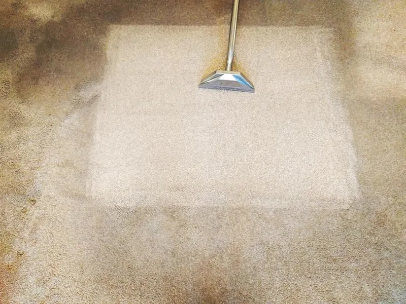 Carpet cleaning demonstration, a single clean square lifted from a beige carpet