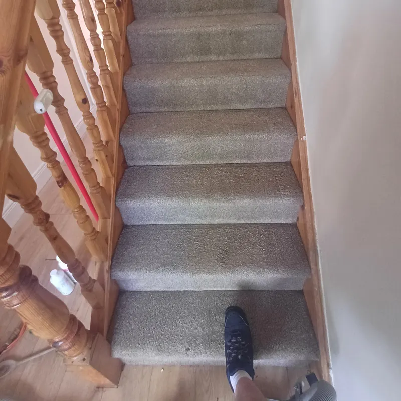 A stair cleaning hand tool on the bottom step of a carpeted staircase