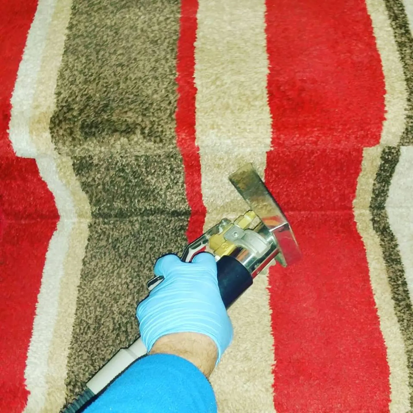 Close-up of carpet pile fibres during a professional cleaning pass