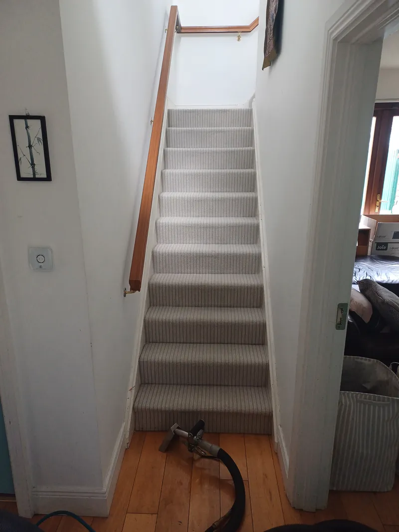 A striped stair carpet in a narrow hallway with the cleaning hose at the bottom step