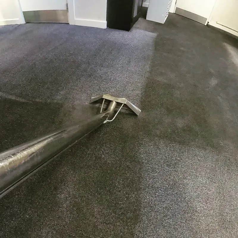 Carpet cleaning wand in action, clean line forming