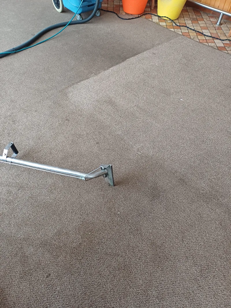 Floor wand on a brown carpet with a visible line between the cleaned and uncleaned areas, and a blue portable extraction machine in the background