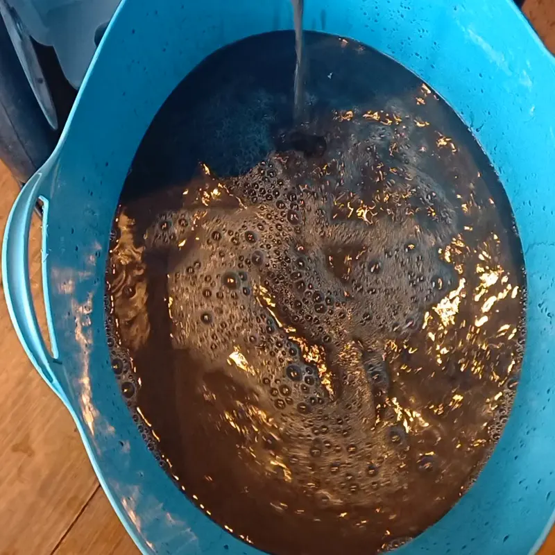 Brown waste water from a carpet extraction machine being emptied into a bucket