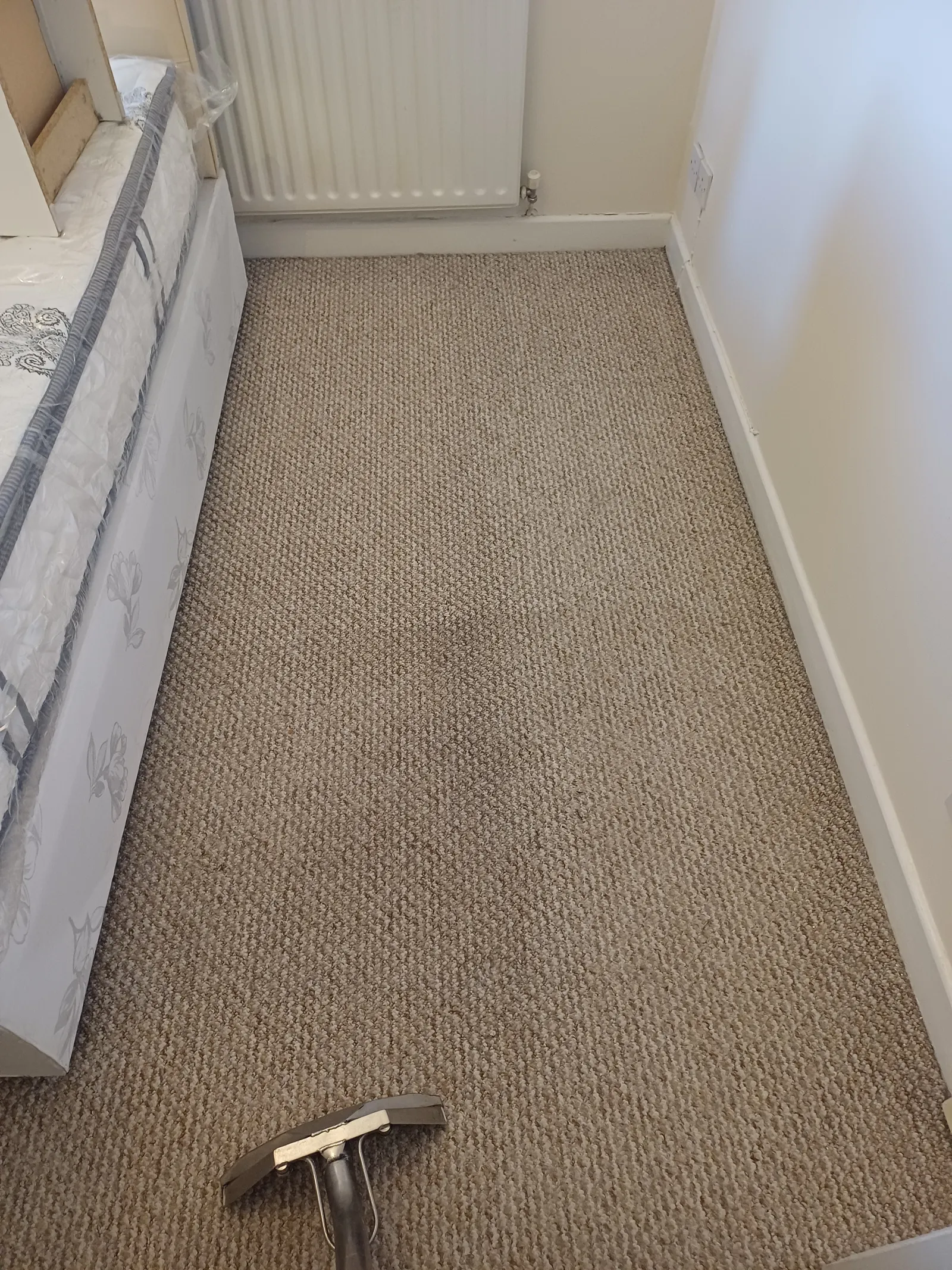 An extraction wand working across a woven natural-fibre carpet during a professional clean