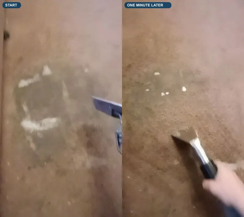 A dark patch on a living-room carpet at the start of treatment and one minute later