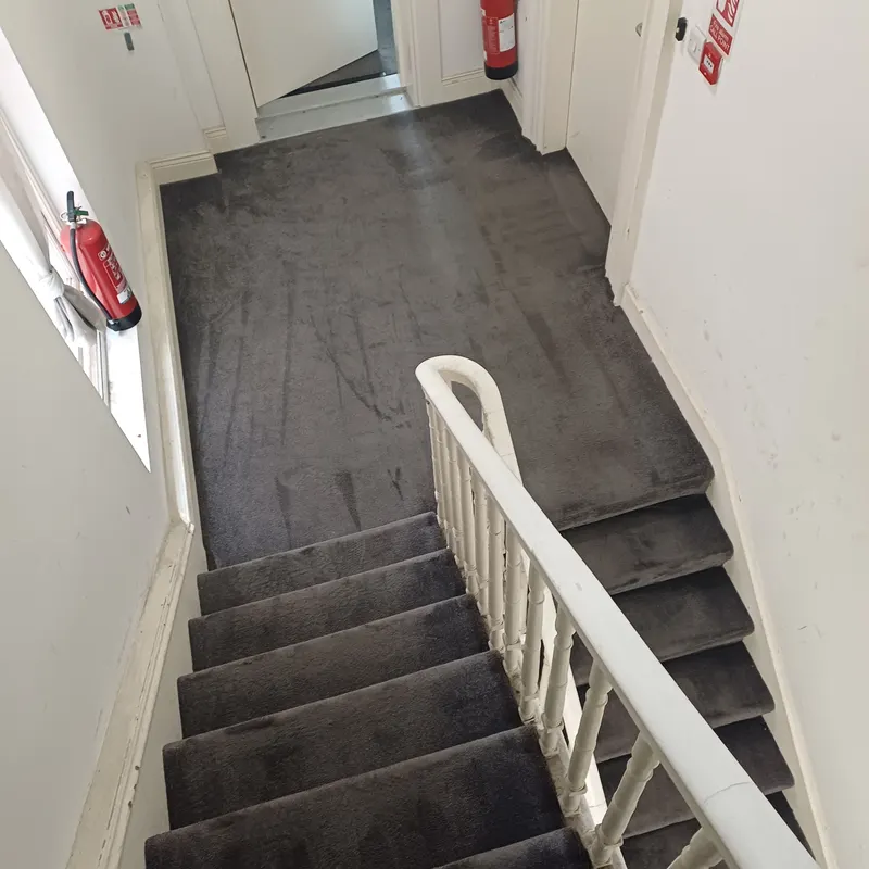 Looking down a carpeted stairwell and landing in an apartment building