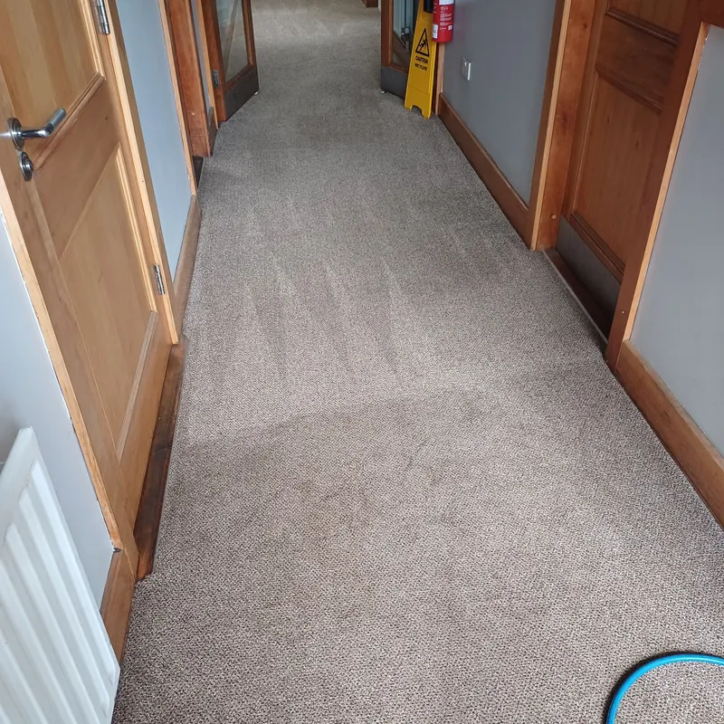A long carpeted corridor with fresh cleaning stripes, a hose and a wet floor sign