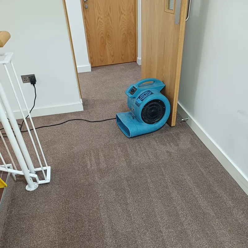 An air mover drying a freshly cleaned landing carpet