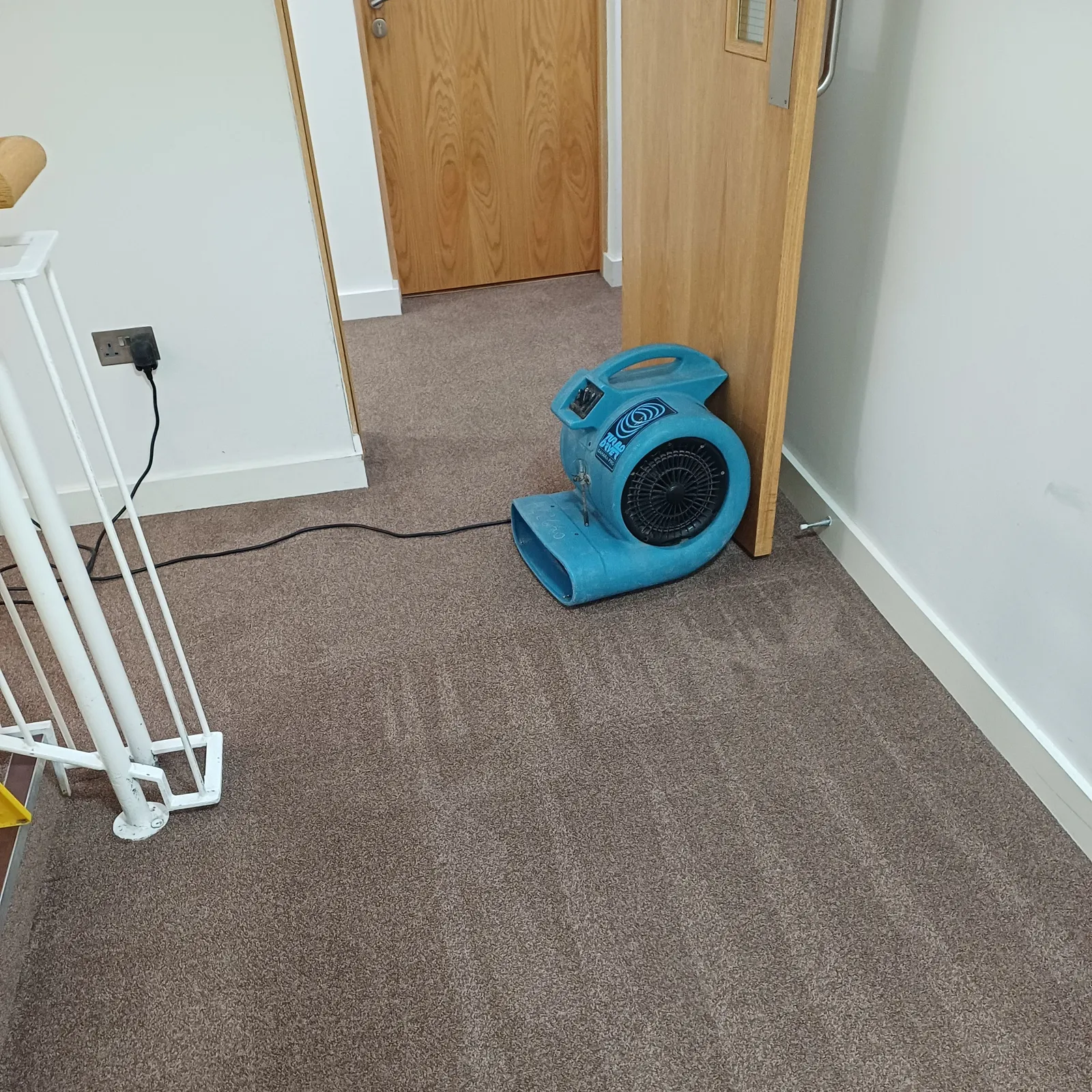 Air mover drying equipment set up on a carpet after a professional clean