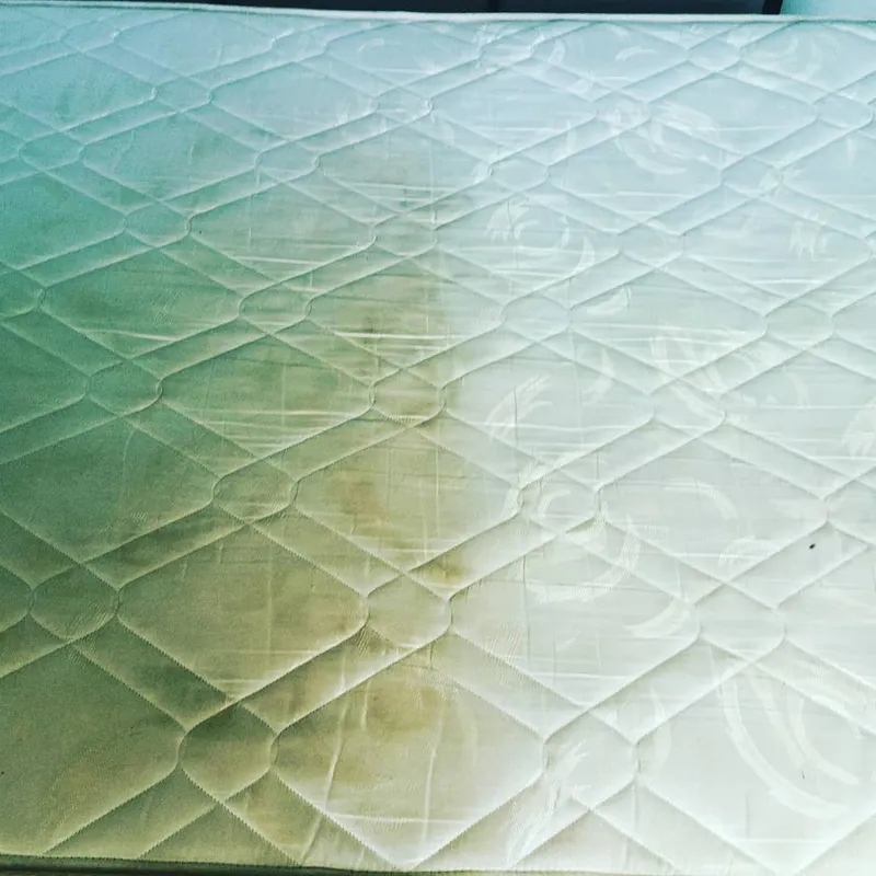 Mattress cleaning before and after result