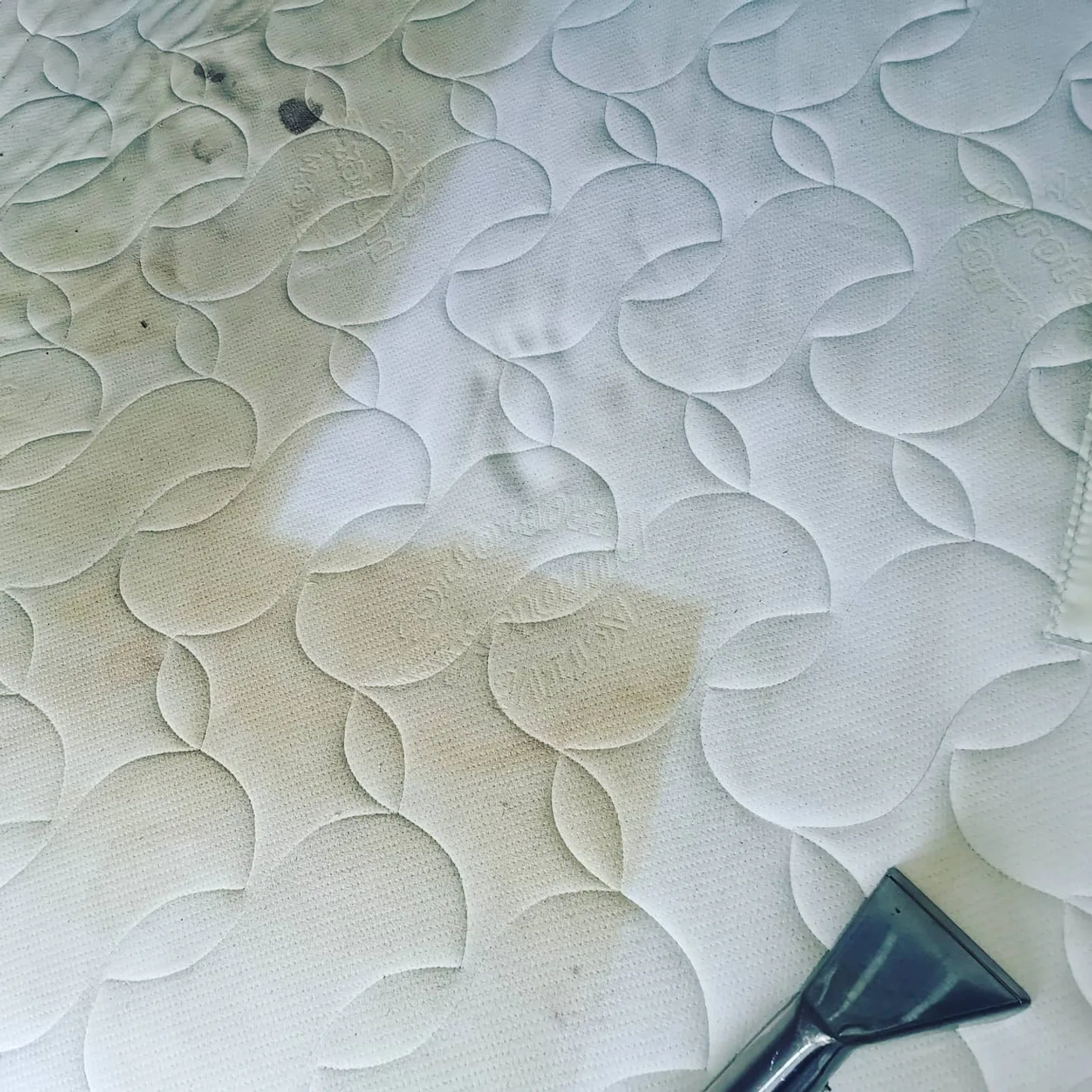 Mattress cleaning close-up, diagonal clean line through stained quilted surface