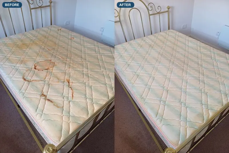 A double mattress with dark ring-shaped stains before cleaning, and the same mattress after with the rings gone