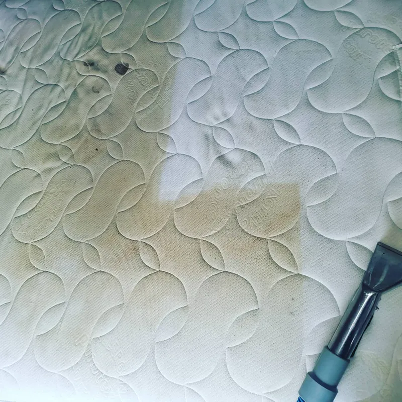 Close-up of mattress cleaning in progress