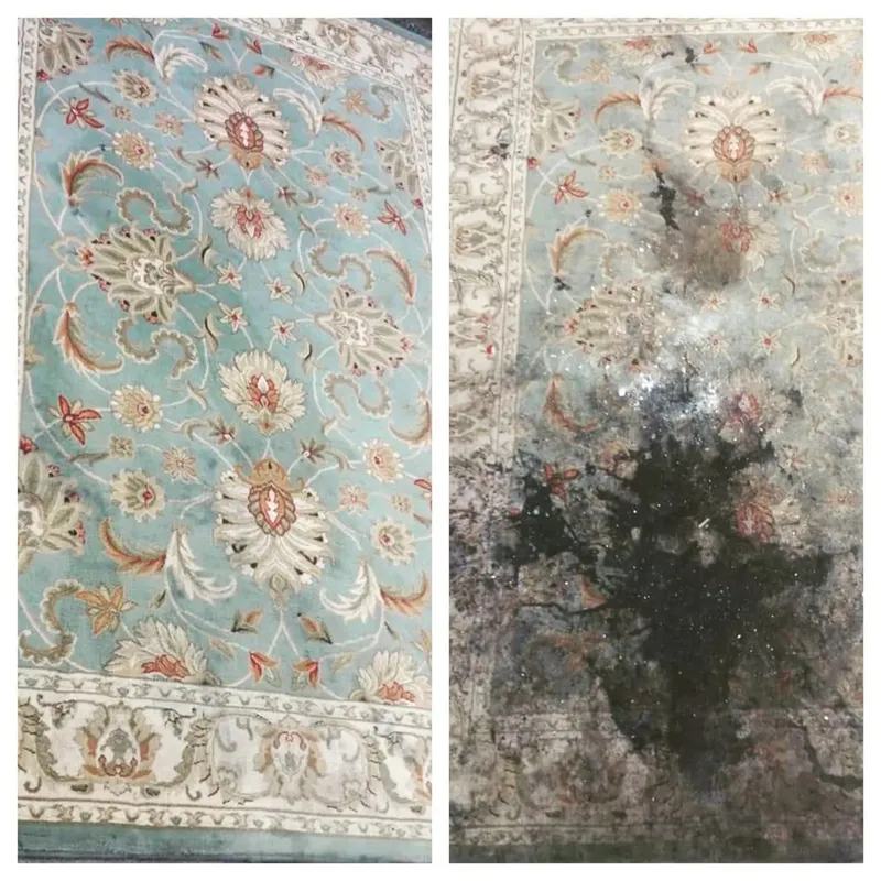 Real rug cleaning before and after result, Persian-style area rug